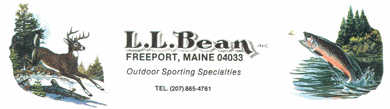 LL Bean