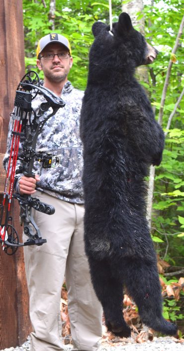 Maine bear hunting at Foggy Mountain