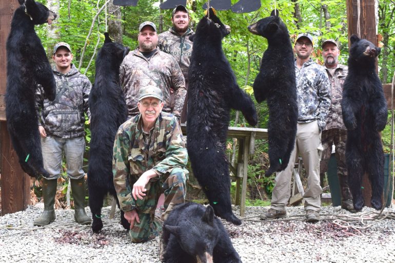 Maine bear hunt