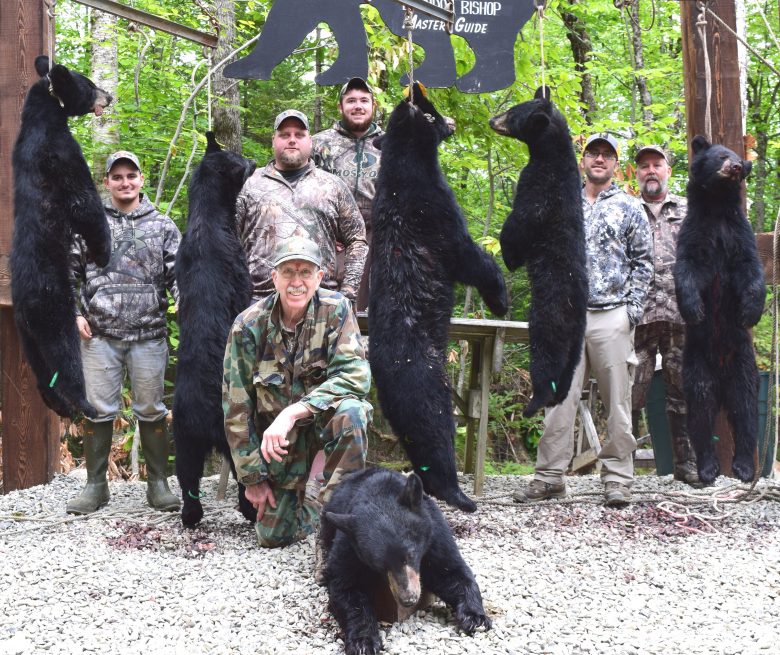 Maine bear hunt