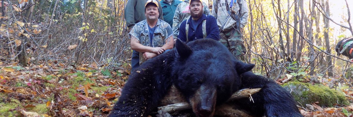 Maine Fall Hound hunts