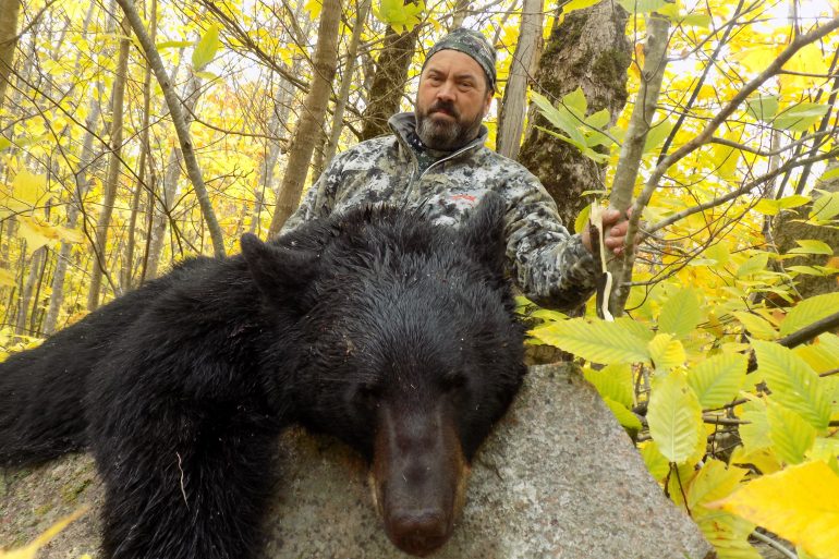 Maine bear hunt