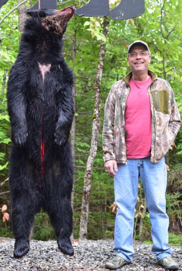 Maine black bear hunt at Foggy Mountain Guide Service