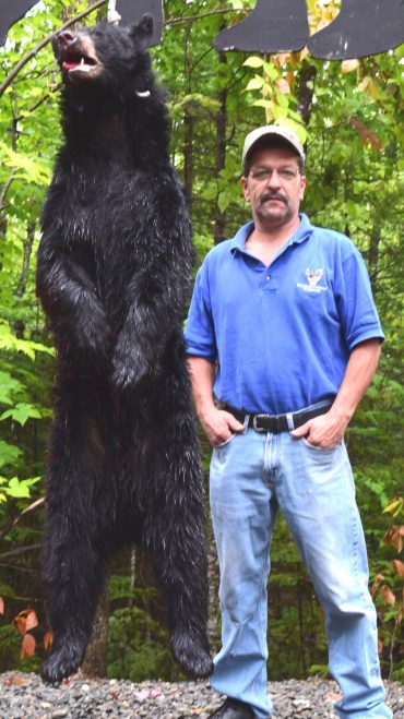 Maine bear hunting at Foggy Mountain