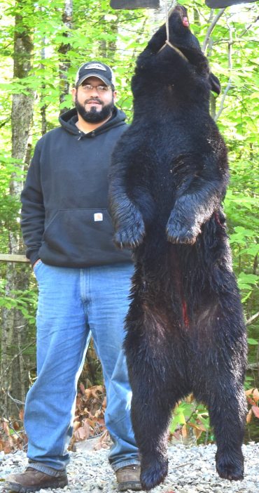 Maine bear hunting at Foggy Mountain