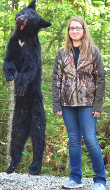 Maine bear hunting at Foggy Mountain