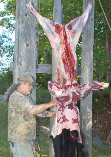 Foggy Mountain guide skinning a bear and preparing the meat