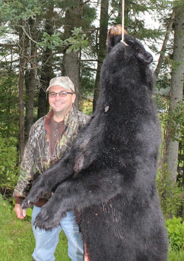 Trophy bear hunting in Maine