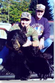 black bear in Maine