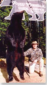 Bear in Maine's Katahdin region