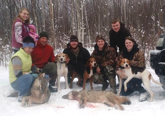 Maine coyote hunting