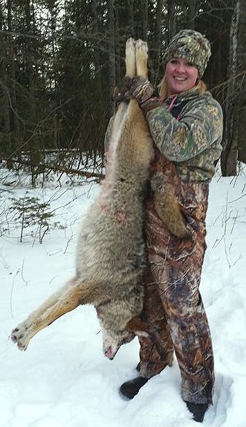 Maine coyote hunt