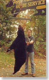 Trophy black bear from the Maine highlands