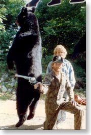 Maine black bear