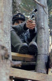 Doug Koenig hunting bear from a tree stand