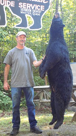 trophy black bear hunt at Foggy Mountain Guide Service