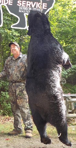 trophy black bear hunt at Foggy Mountain Guide Service