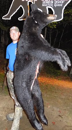 trophy black bear hunt at Foggy Mountain Guide Service