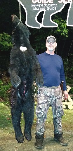 trophy black bear hunt at Foggy Mountain Guide Service