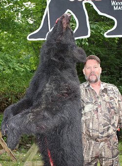 trophy black bear hunt at Foggy Mountain