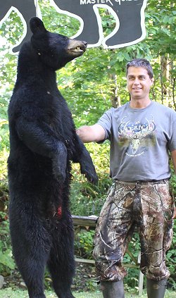 trophy bear hunting at Foggy Mountain Guide Service