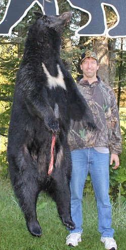 trophy black bear hunt at Foggy Mountain