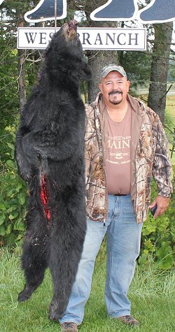 trophy black bear hunt at Foggy Mountain