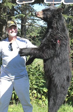 black bear hunts at Foggy Mountain