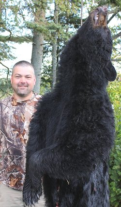 black bear hunts at Foggy Mountain