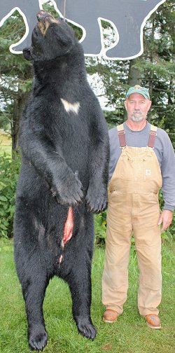 trophy bear hunting at Foggy Mountain Guide Service