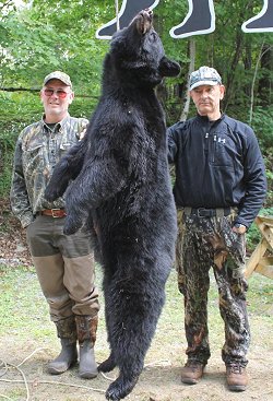 trophy bear hunts at Foggy Mountain