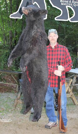 trophy bear hunts at Foggy Mountain