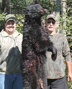 trophy bear hunts at Foggy Mountain