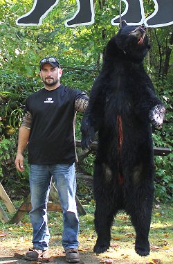 trophy black bear hunts at Foggy Mountain
