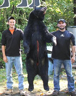 black bear at Foggy Mountain Guide Service