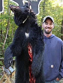trophy black bear hunts at Foggy Mountain