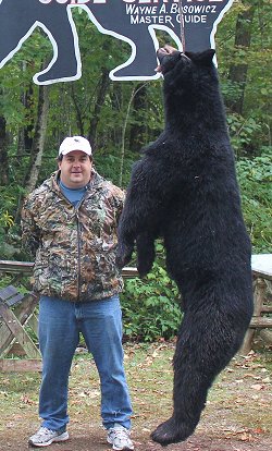 trophy black bear hunts at Foggy Mountain