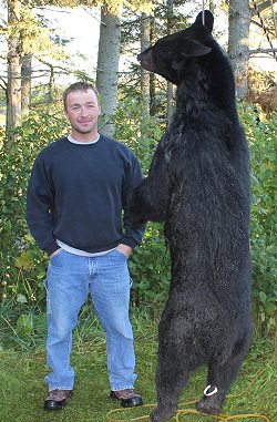 black bear at Foggy Mountain Guide Service