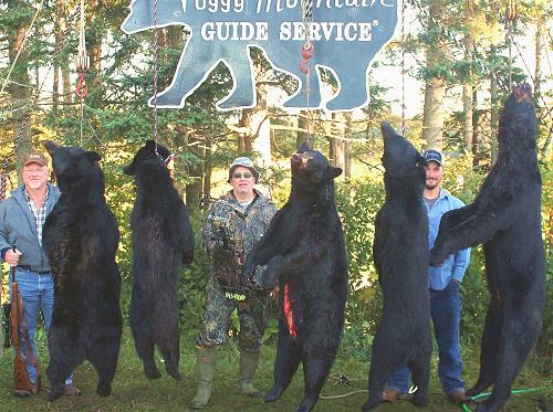 trophy bear hunting at Foggy Mountain Guide Service