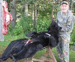 trophy bear hunting at Foggy Mountain Guide Service