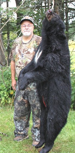 black bear hunts at Foggy Mountain