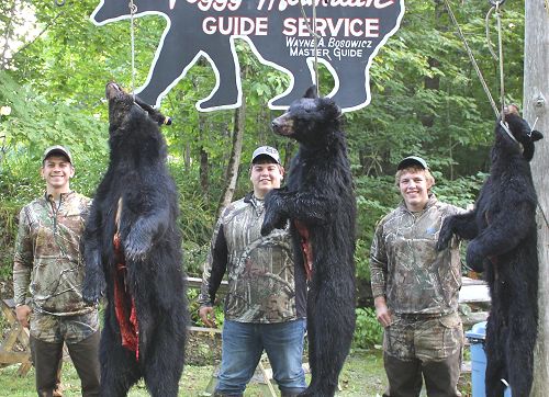 trophy bear hunting at Foggy Mountain Guide Service