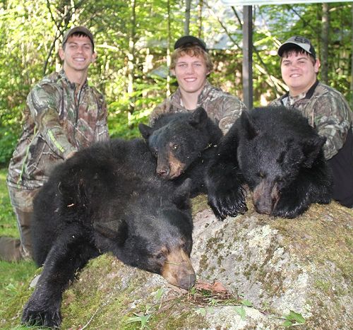 Family bear hunts at Foggy Mountain Guide Service