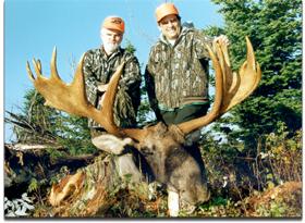 bull moose hunt guided by Foggy Mountain