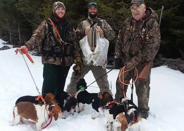 rabbit hunting at Foggy Mountain