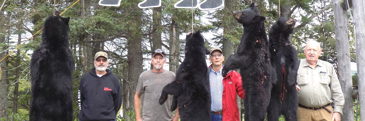 Foggy Mountain bear hunters