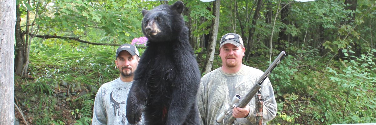 Bear taken with Muzzleloader