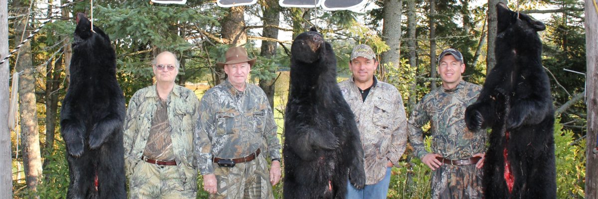 Bear hunting in Maine