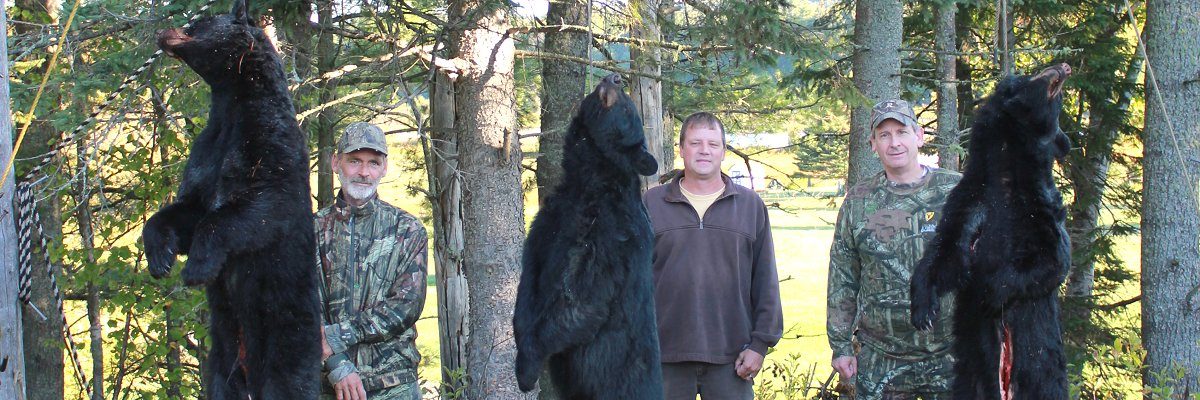 Maine bear hunters at Foggy Mountain