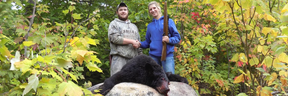 Hound hunting for black bear in Maine